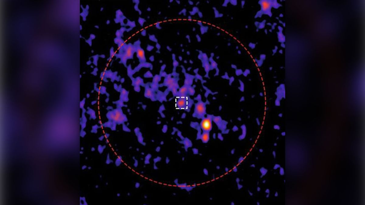 Faint radio signal from ancient star cluster could be rare ‘missing link’ black hole, astronomers report