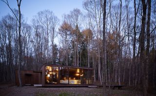 Division House creates spaces in between the trees