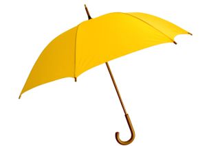 Yellow umbrella