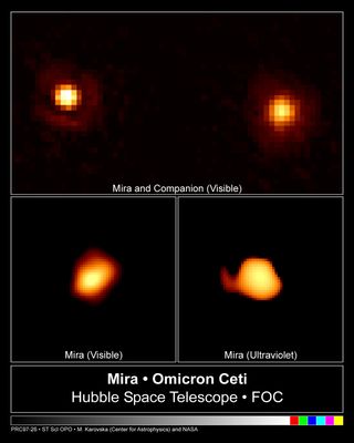 The Hubble Space Telescope captured this image of the cool red giant star Mira A (right), officially called Omicron Ceti, and its nearby hot companion (left), on Dec. 11, 1995.