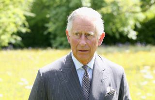 Prince Charles, Prince of Wales walks in the meadows at Highgrove House at the launch for the Coronation Meadows Initiative