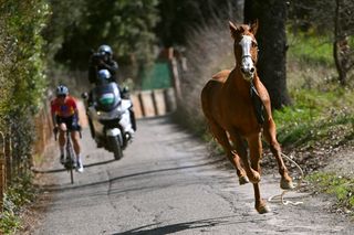 Strade Bianche women's race 2023