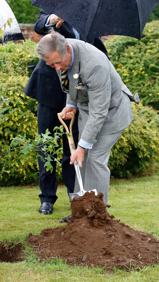Prince Charles, Prince of Wales plants a tree (whilst his police protection officer holds his umbrella) during a visit to the Wiltshire village of Bromham on July 17, 2007 in Bromham, England