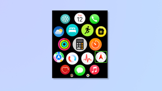 Screenshot of the app display on the Apple Watch. 