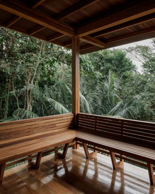 casa quinta by arquipelago, a wooden house on stilts above the rainforest canopy engulfed in greenery and open to nature