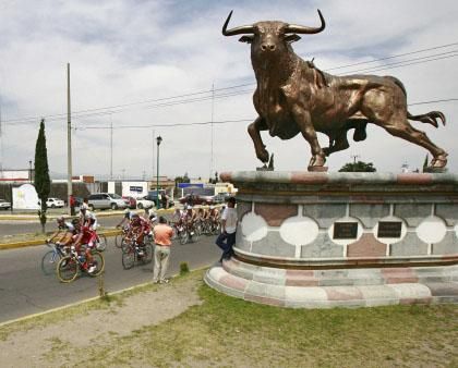 That's a no bull bull!