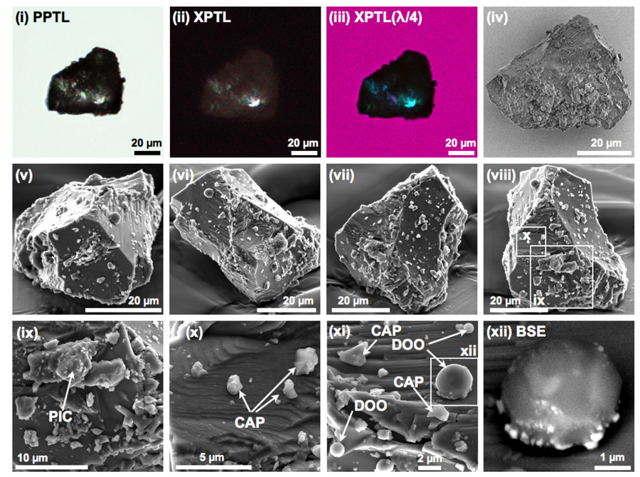 Microscopic views of an asteroid sample collected by Japan&#039;s Hayabusa probe show tiny bits of grain that have adhered to it from impacting meteorites.