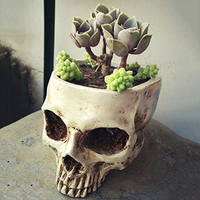Qivange Skull Resin Skull Head Flower Pot | £18.99 at Amazon