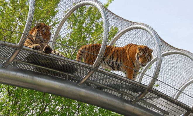 Philadelphia Zoo