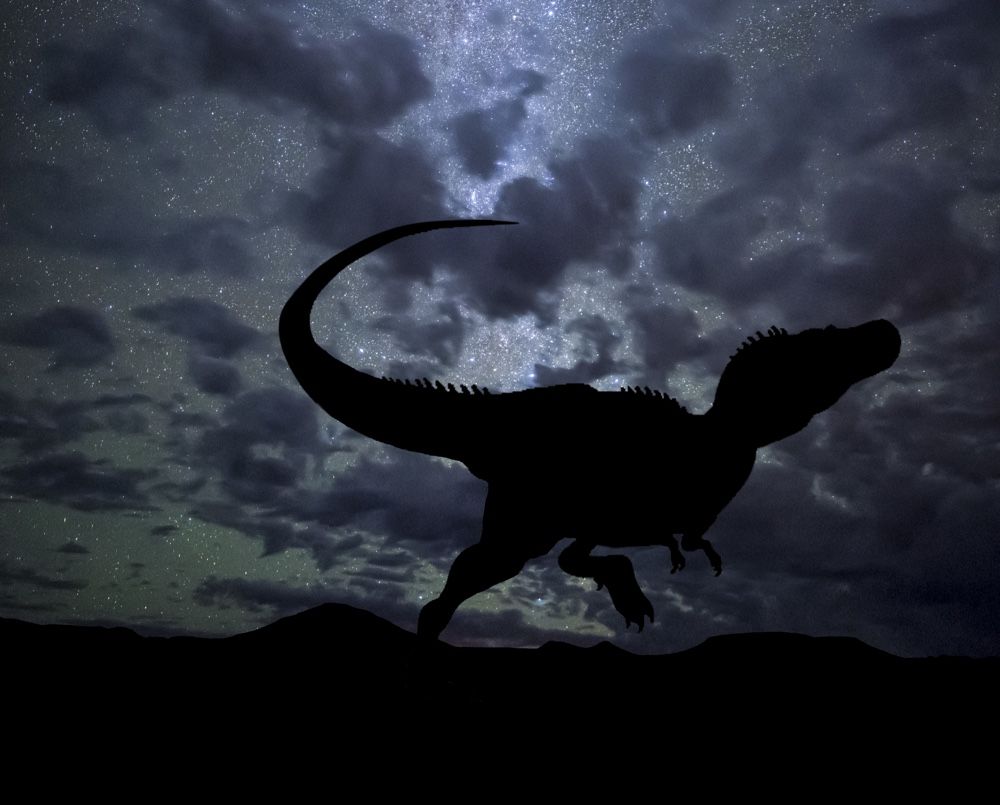 T. rex stands under the night sky.