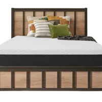 Sealy 12" Memory Foam Mattress (queen)