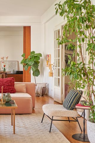 Image of a bright living room with a pink sofa and wooden coffee table There are multiple tall potted plants scattered throughout the room.