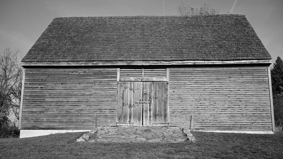 Nikon Z f sample image