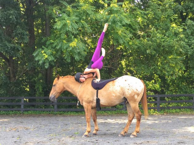 horseyoga5-e1508497650815.jpg