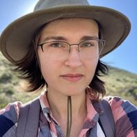 Elizaveta Kovaleva's avatar