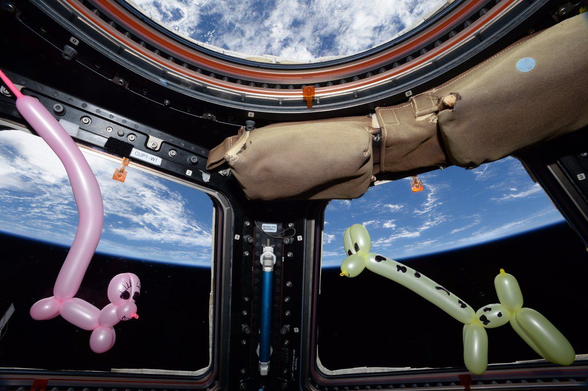 Zero-G Zoo? Nope, Just an Astronaut Making Balloon Animals in Space | Space