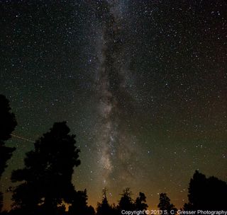 Night Sky Over Arizona During Perseid Meteor Shower Gresser