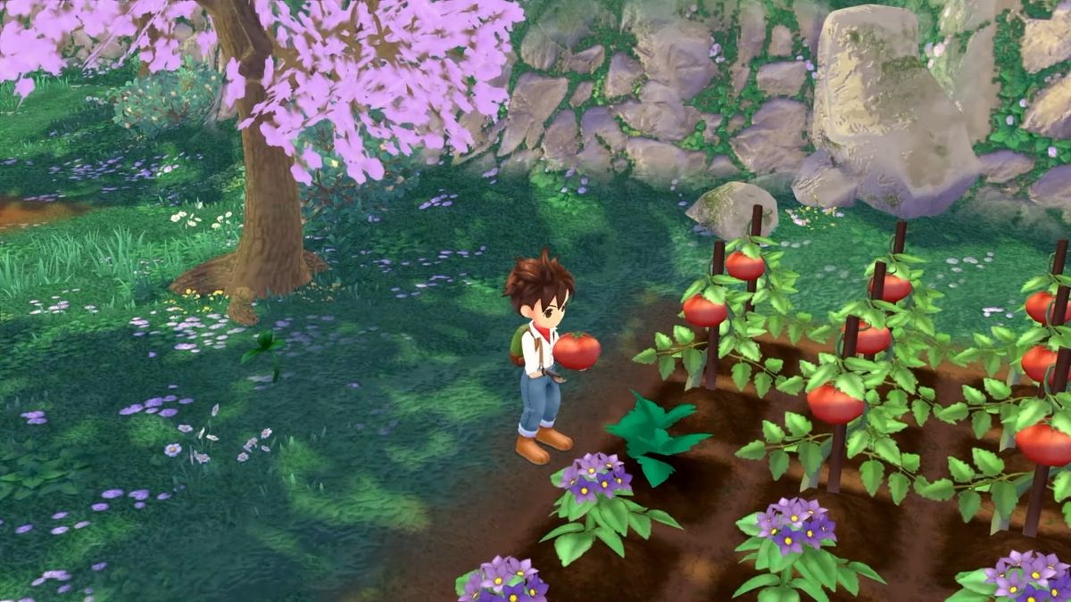 Remake of GameCube\'s beloved Harvest Moon: A Wonderful Life gets worldwide  release this June | GamesRadar+