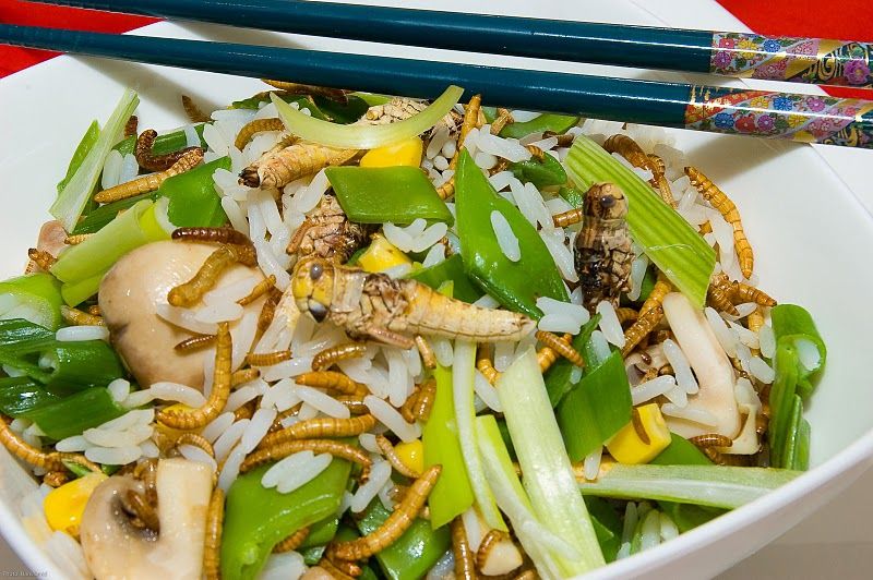 Insect stir fry