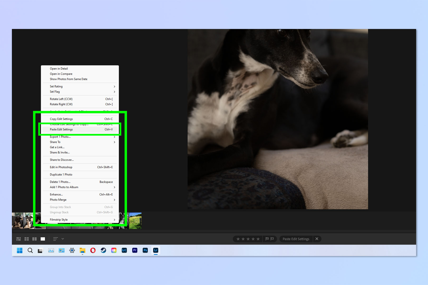 A screenshot showing how to copy and paste edits in Adobe Lightroom