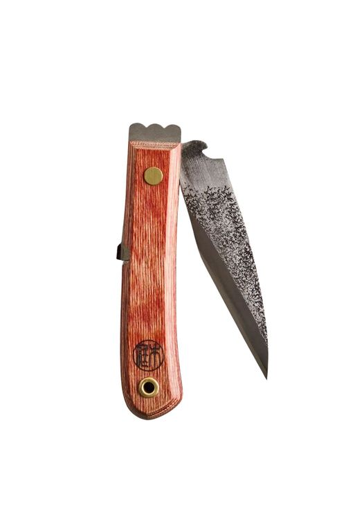 Folding Knife