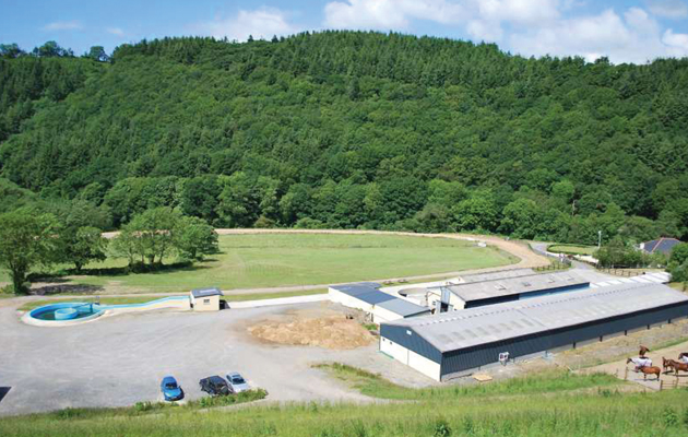 FELIN FACH STABLES JB2884A-1