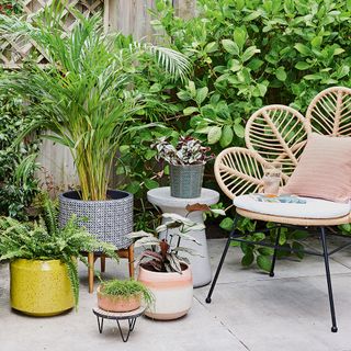 garden area with potted plants and cushion in chair