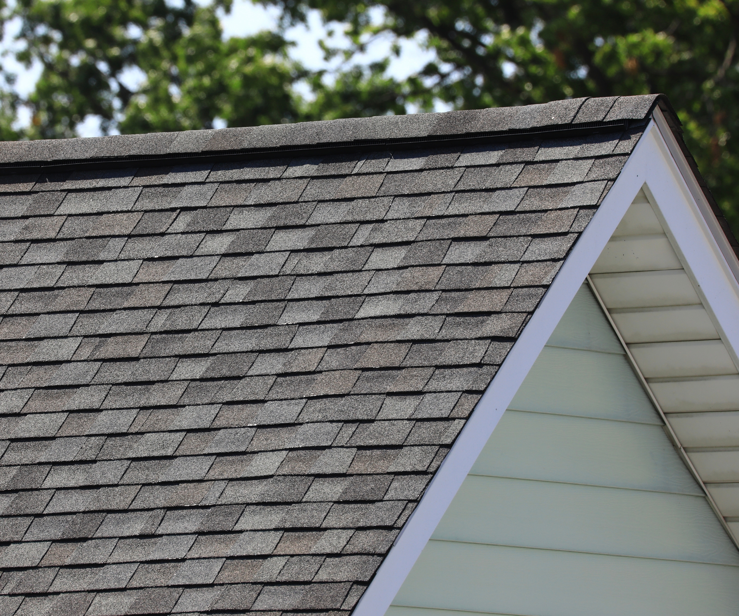 Tab-styled asphalt roof shingles, with trees and sky in blurred background.