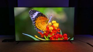 Hisense 110UXN with butterfly on screen