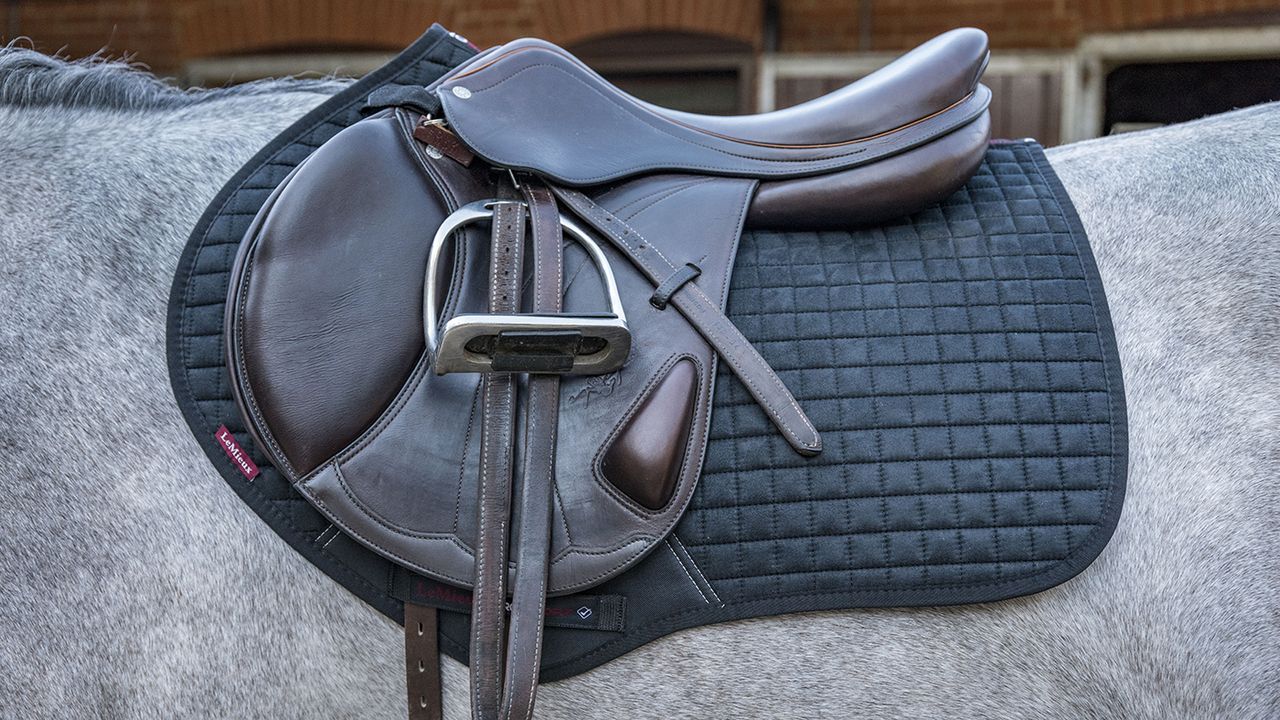 LeMieux ProSport CC/Jumping suede square review