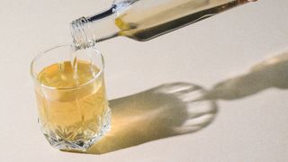 Glucose Goddess hacks: Apple cider vinegar