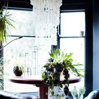 table with potted plants and chandelier