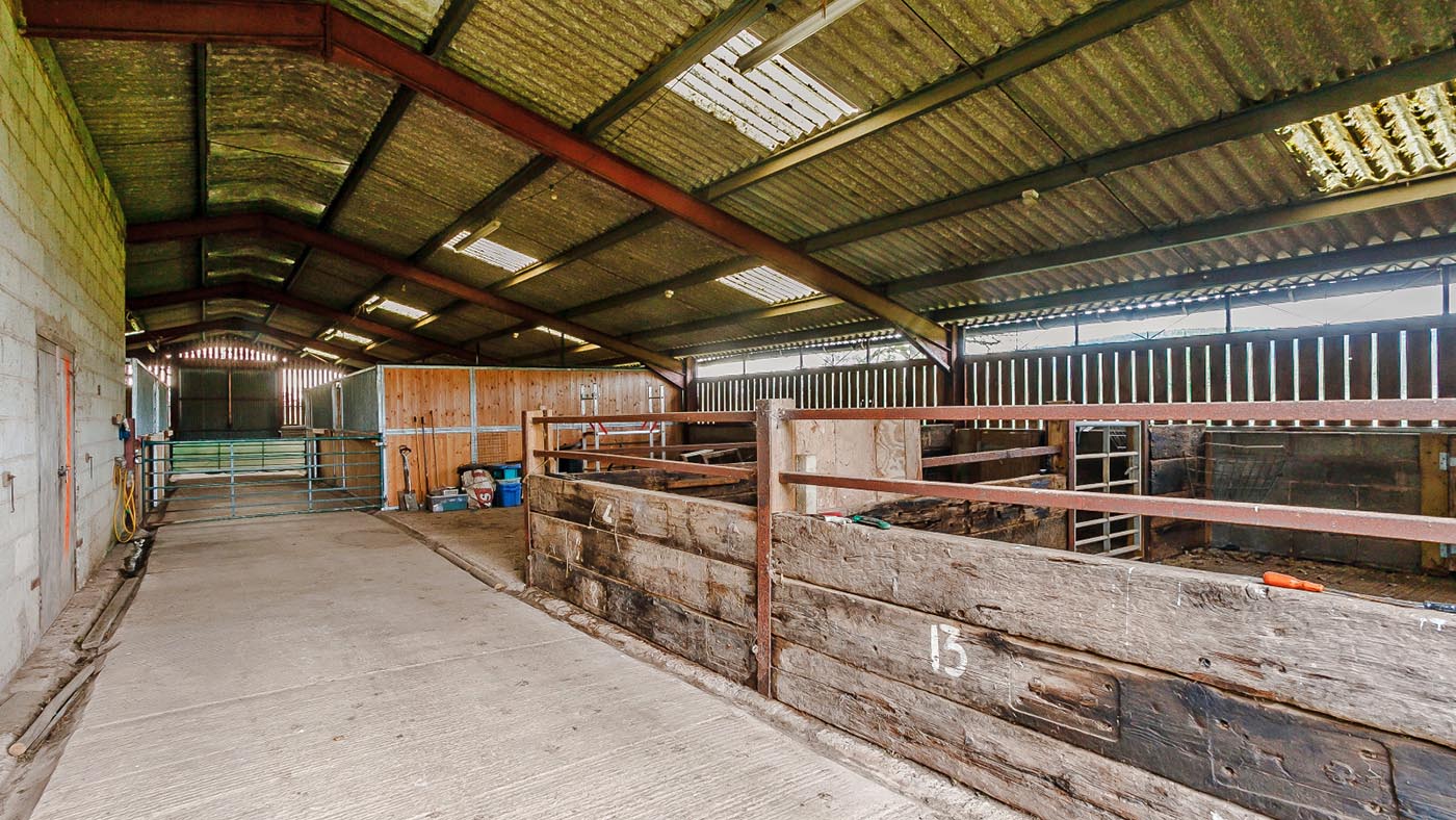 Crowmoor Lane, Tillington - Hunters (2)