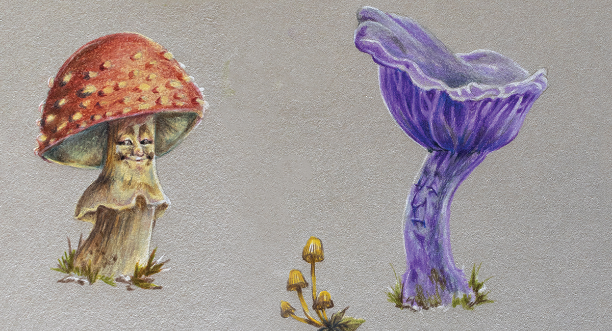 Check out Rossana Castellino's enchanting fantasy character designs.