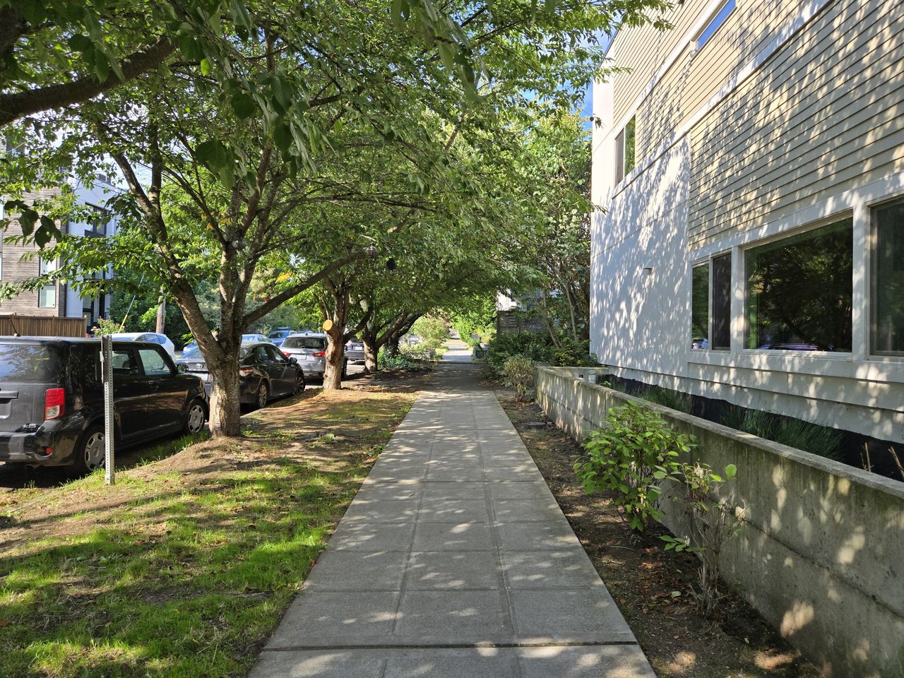 A sunny sidewalk