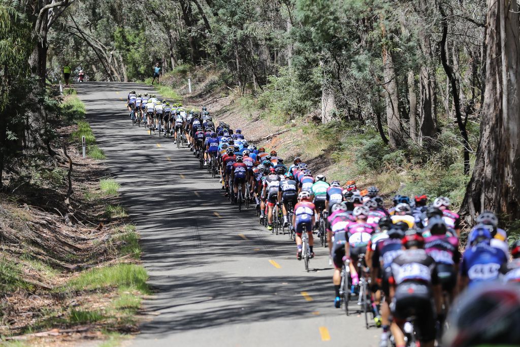 The peloton is lined out