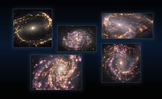 Five gorgeous galaxies provide insights into how stars are born. each individual image is a combination of observations made at different wavelengths of light. The golden glows mainly correspond to clouds of ionized hydrogen, oxygen and sulphur gas to mark the presence of newborn stars. Bluish background regions reveal the distribution of slightly older stars.
