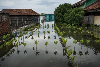 In the coastal Demak Regency in Indonesia, Giacomo d’Orlando portrays life in one of the most vulnerable places to climate change in the world