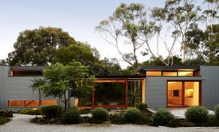 A backyard with trees and small shrubs planted in a home in Shoreham, Australia