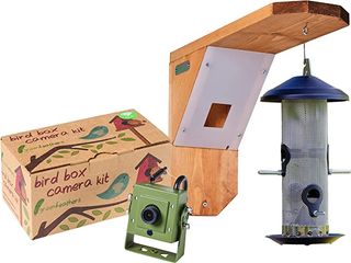 The best bird feeder cameras in 2023