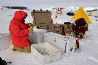 Antarctic Search for Meteorites 2014-15 expedition
