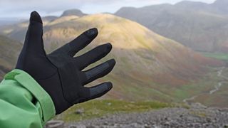 Person's hand wearing hiking glove
