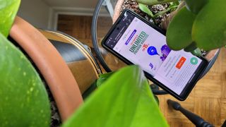 A Google Pixel 7a with Mint Mobile's home page on the screen placed among some house plants