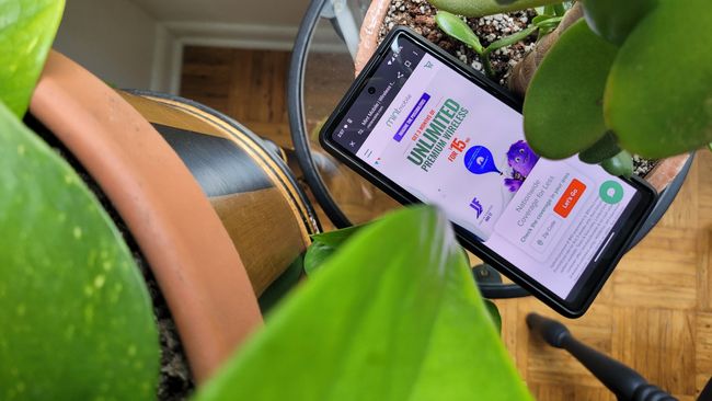 Mint Mobile снизила стоимость всех своих тарифных планов до всего $15 в месяц — и да, это касается даже тарифа «Безлимитный»