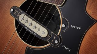 Close up of a acoustic guitar soundhole pickup