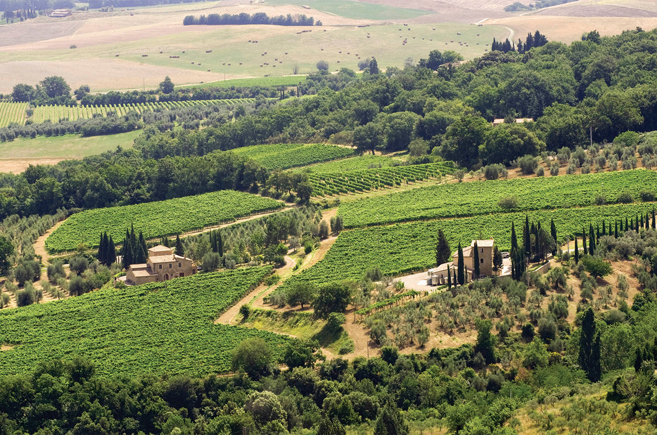 Il Palazzone vineyards Montalcino