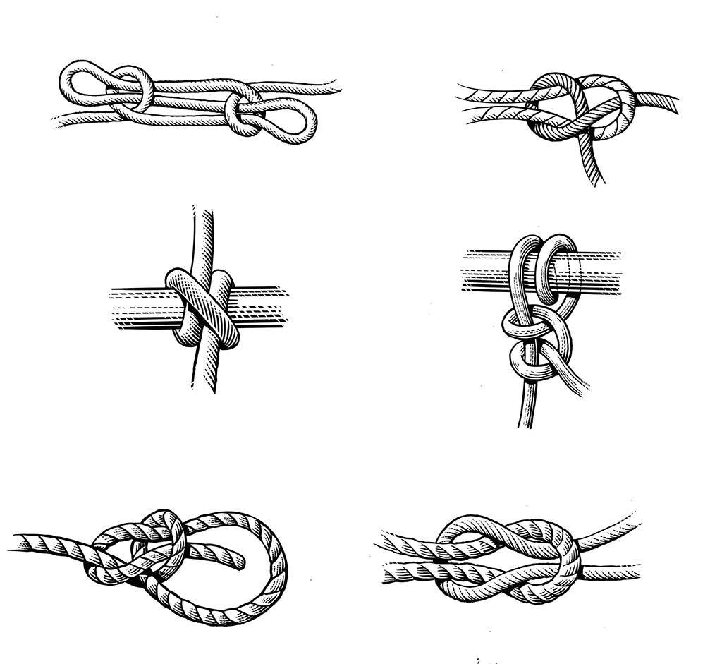 Top row: Sheepshank, Sheetbend. 2nd row: Clove hitch, Round Turn and 2 half hitches. 3rd Row: Bowline, Reef knot.