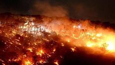 Smoke wine, Barossa bush fires