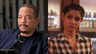 Law & Order: SVU's Fin cropped with Chicago Fire's Stella Kidd