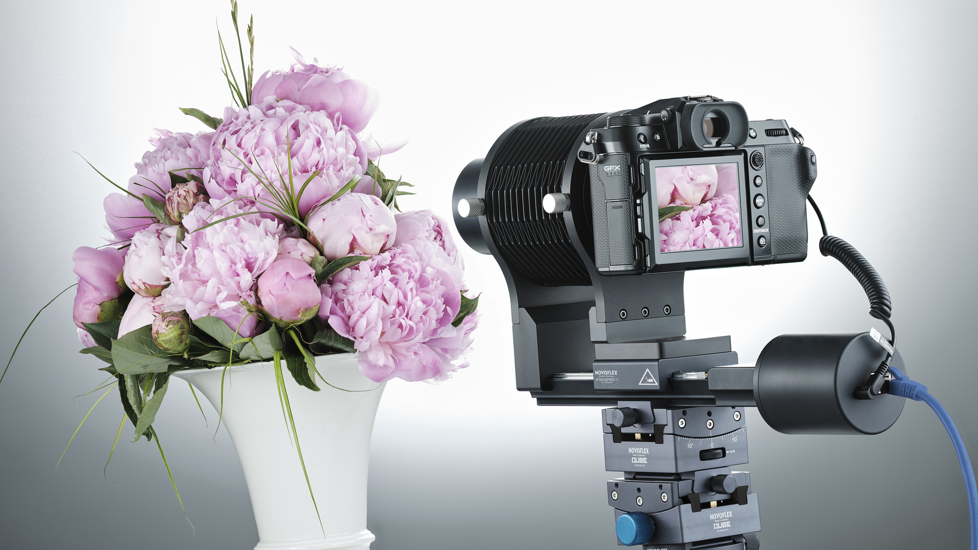 The Novoflex Stackpro 1 photographing flowers